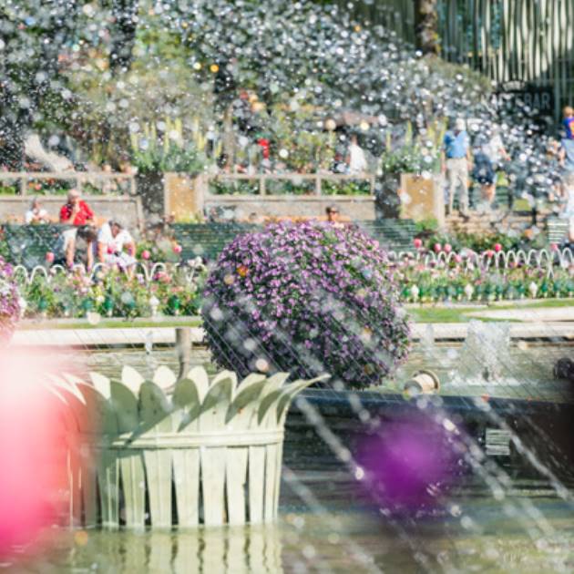 Haveanlaeg-KS_02_630x410